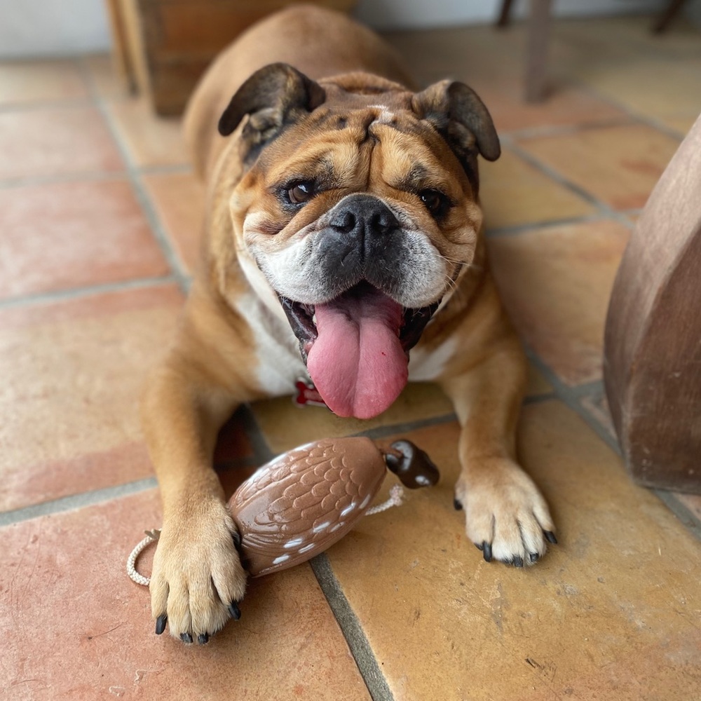 Meet your Posher, Ingrid